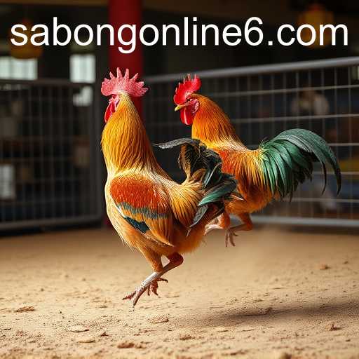 Rise of Online Sabong: A Modern Take on a Traditional Game