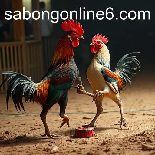 The Rise of Sabong Online in the Digital Arena