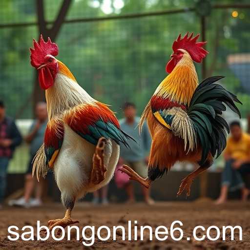 The Rising Popularity of Sabong Online